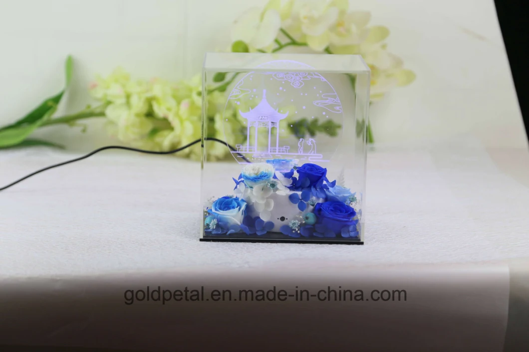 Valentine′s Day Christams Gift 3D Acrylic Light Night Lamp Scene with Preserved Flowers